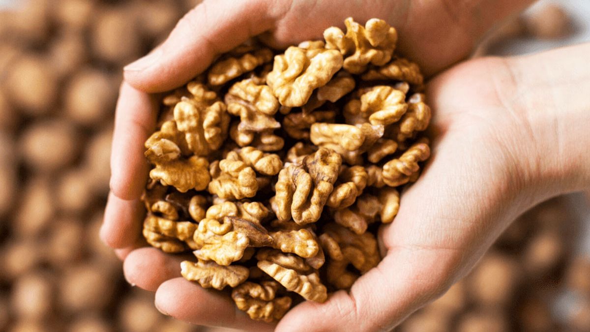 Antioksidan Deposu Ceviz Alzheimer Hastalığını Önlüyor
