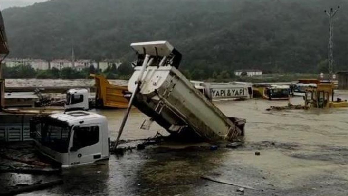 Sinoptaki Selin Boyutunu Gözler Önüne Seren Görüntüler Ortaya Çıktı