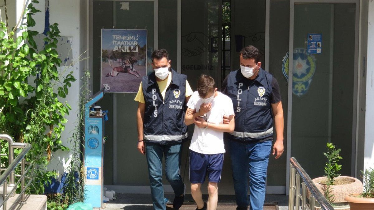 Üsküdar'da Kediyi İşkence Ederek Öldüren Şahıs Tutuklandı