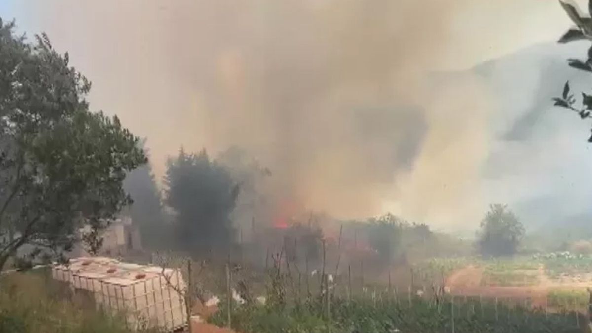 Beykoz'da yangın