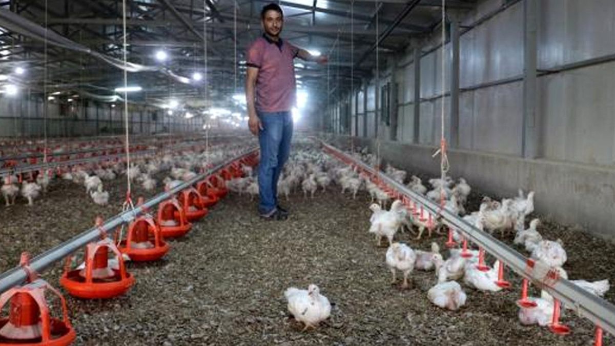 Elektrik Kesintisi Genç Girişimcinin 500 Bin Lirasına Mal Oldu