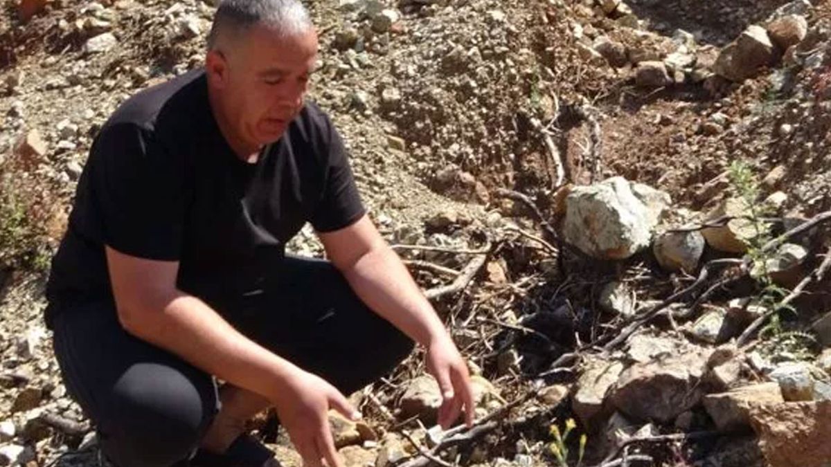 Fidan ekerken 20 yıllık kayıp cüzdanı buldu