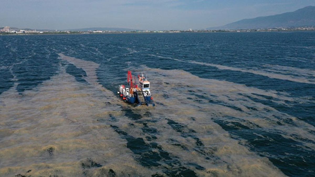 İzmit Körfezi’ndeki Deniz Salyası Temizleniyor