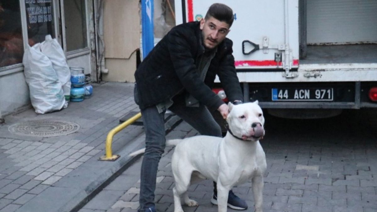 Kavga Ettiği Kişilerin Üstüne Köpeği Saldı