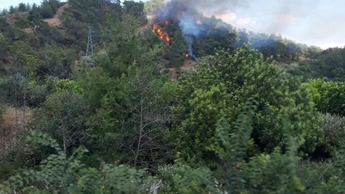 Muğla'da korkutan orman yangını! 2 uçak, 3 helikopter ve arazöz ekipleri yangına müdahalede bulunuyor!
