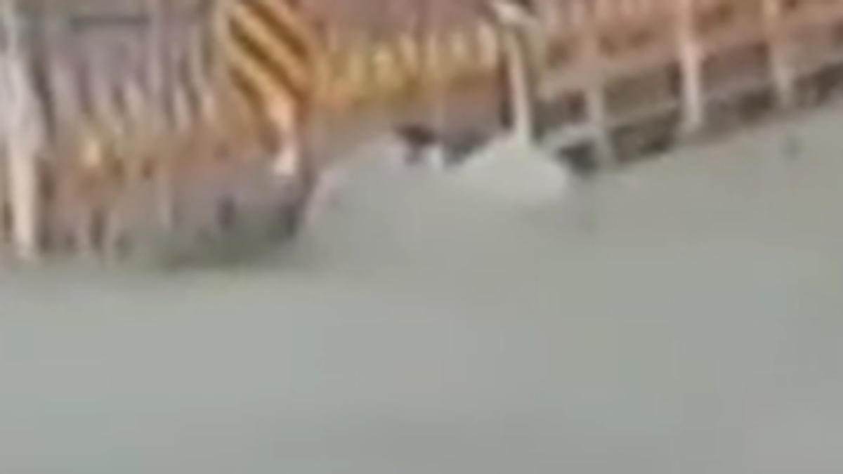Osmaniye'de Feci Kaza!