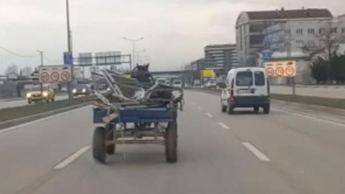 Sürücüsüz at arabası trafiği birbirine kattı: sahibi koşarak yakalamaya çalıştı!
