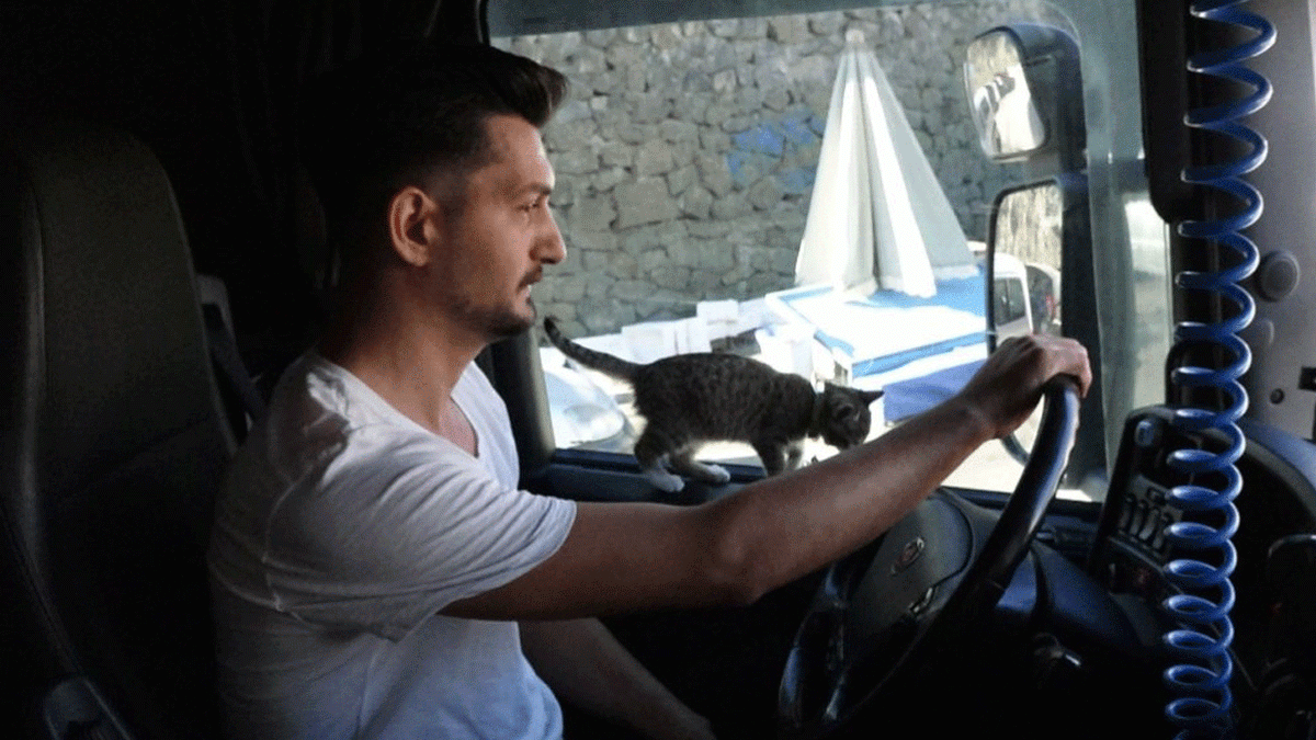 Yanına Aldığı Yavru Kediyle Birlikte 50 Bin Kilometre Yol Yapan Tır Şoförü: ‘O Benim Yol Arkadaşım’