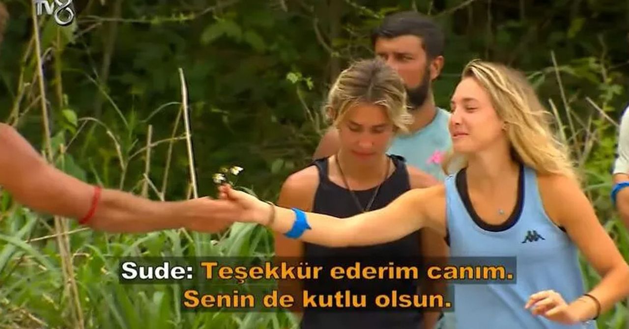 survivor survivor