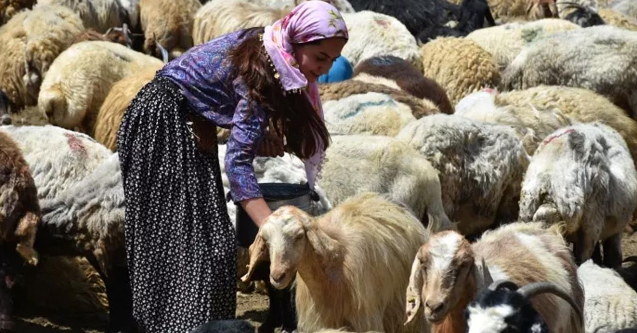 10 kadına öncülük etti 10 kadına öncülük etti