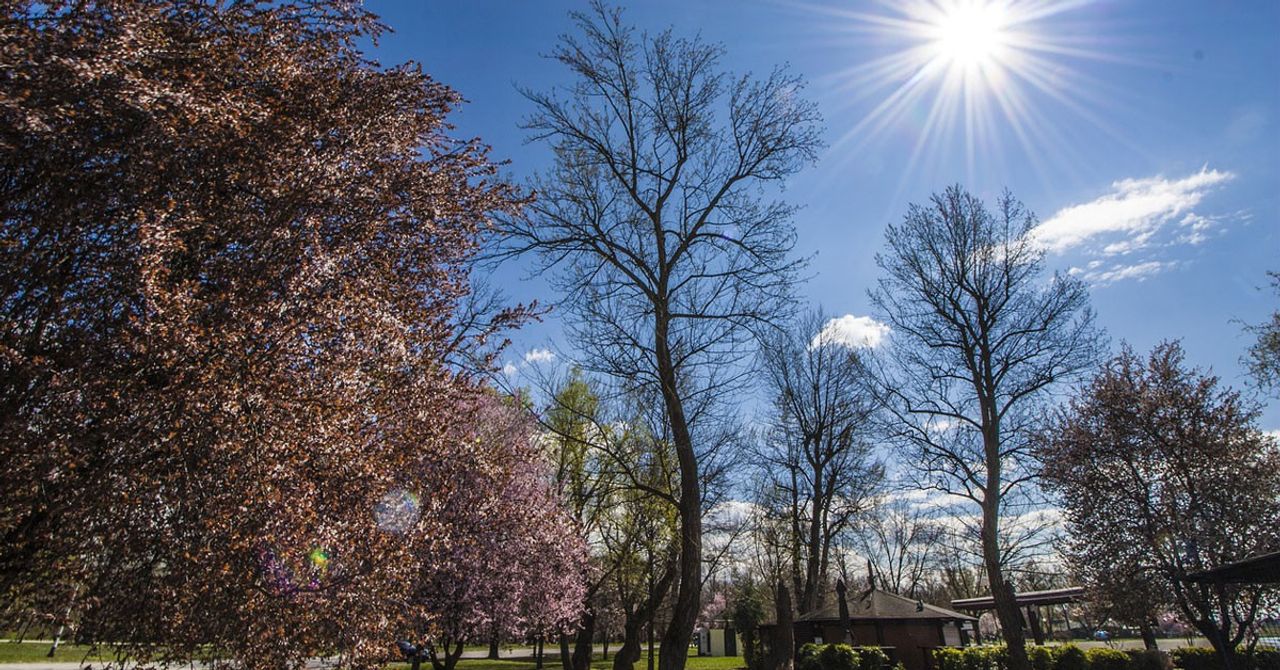 30 Mart 2022 Çarşamba hava durumu nasıl olacak? Meteoroloji Genel Müdürlüğü 30 Mart 2022 hava durumu tahmin raporunu yayımladı: Pazartesiye kadar mevsim normallerinin üzerinde!! 30 Mart 2022 Çarşamba hava durumu nasıl olacak? Meteoroloji Genel Müdürlüğü 30 Mart 2022 hava durumu tahmin raporunu yayımladı: Pazartesiye kadar mevsim normallerinin üzerinde!!