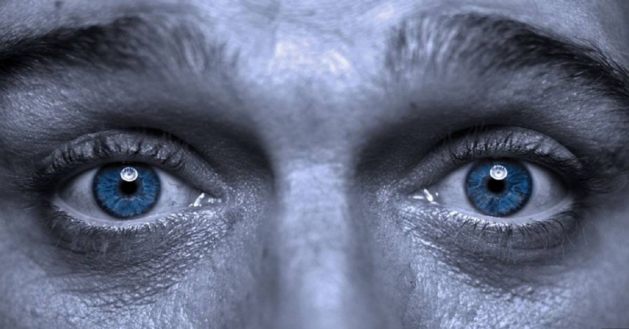 3D Baskı Göz Dokusu 3D Baskı Göz Dokusu