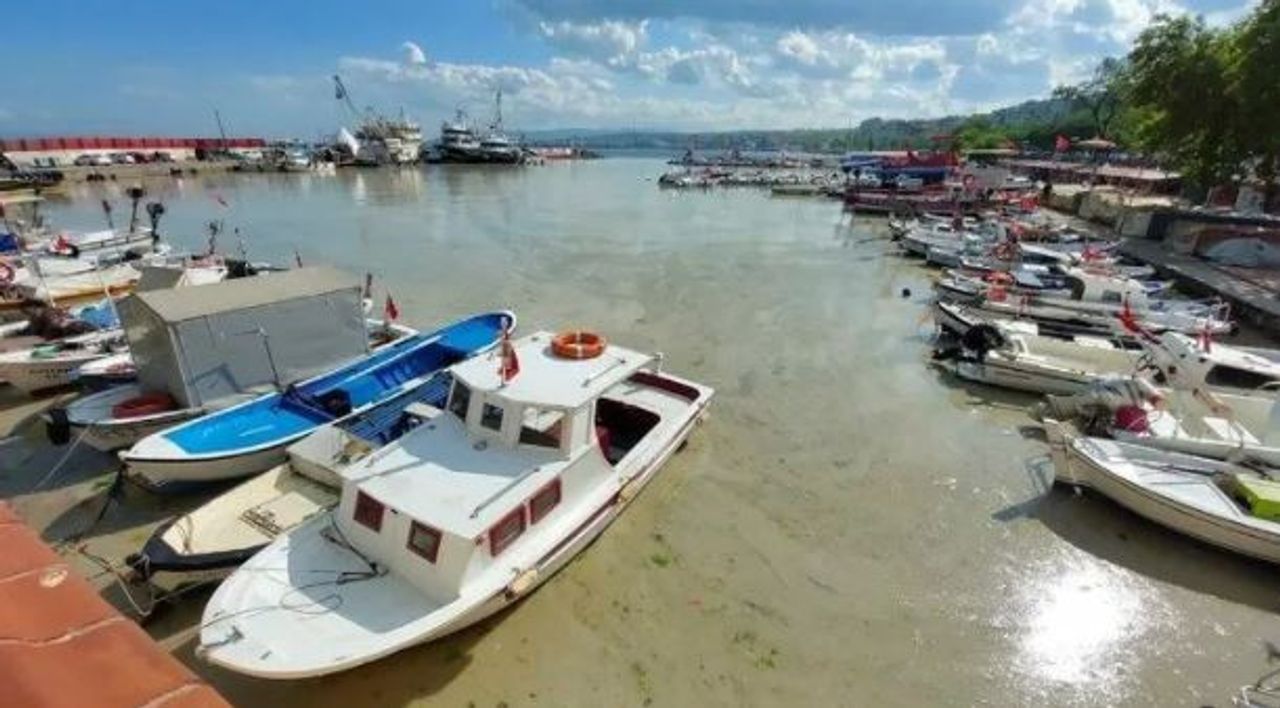 müsilaj tekirdağ