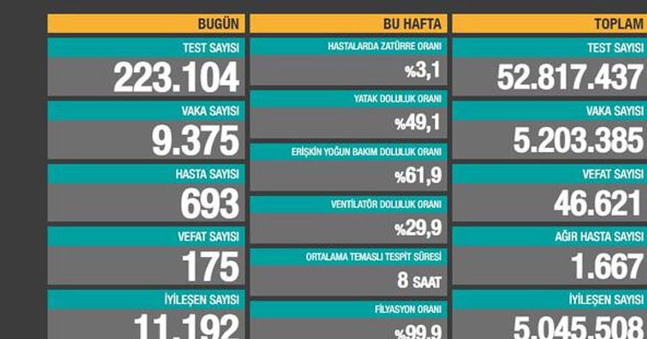 25 mayıs koronavirüs tablosu 25 mayıs koronavirüs tablosu