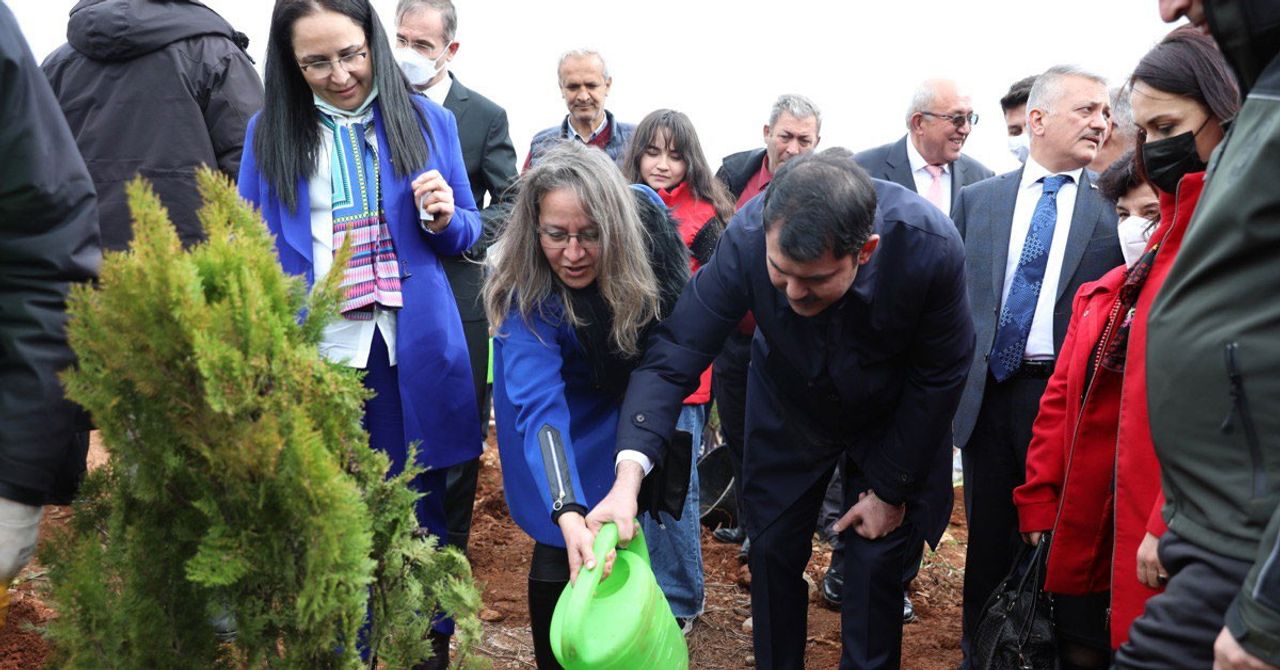 Toplamda 10 bin fidan dikildi Toplamda 10 bin fidan dikildi