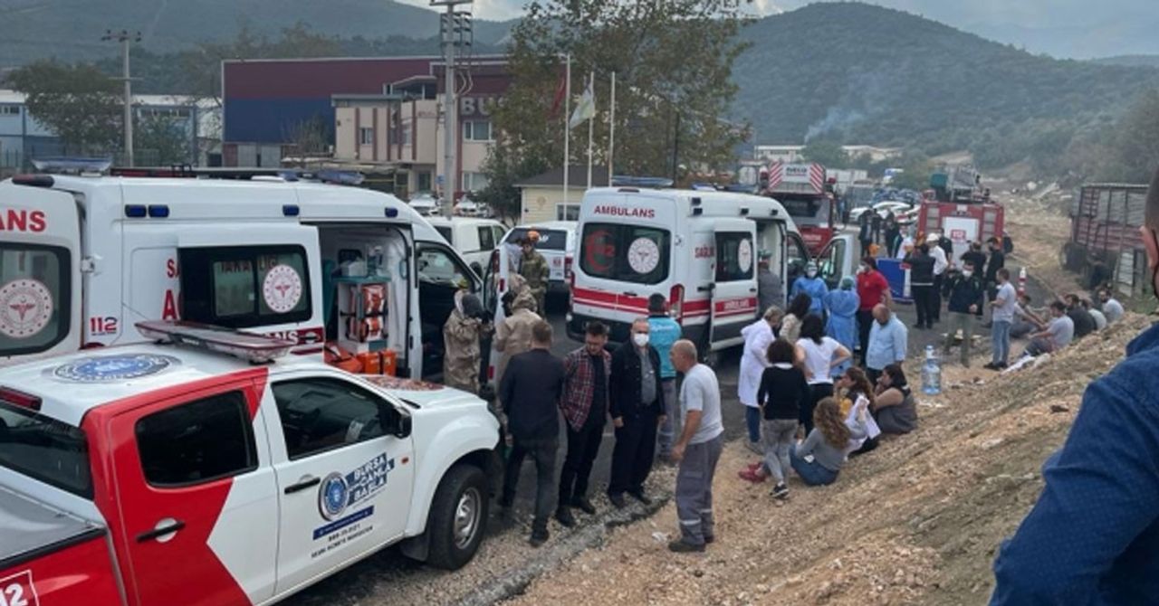 Bursa Bursa