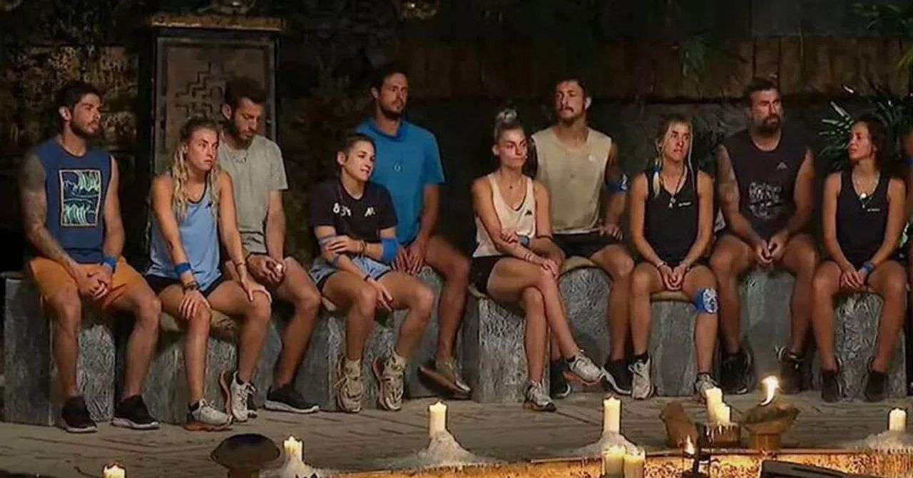 survivor survivor
