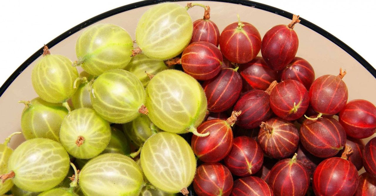 Baş dönmesine ne iyi gelir?