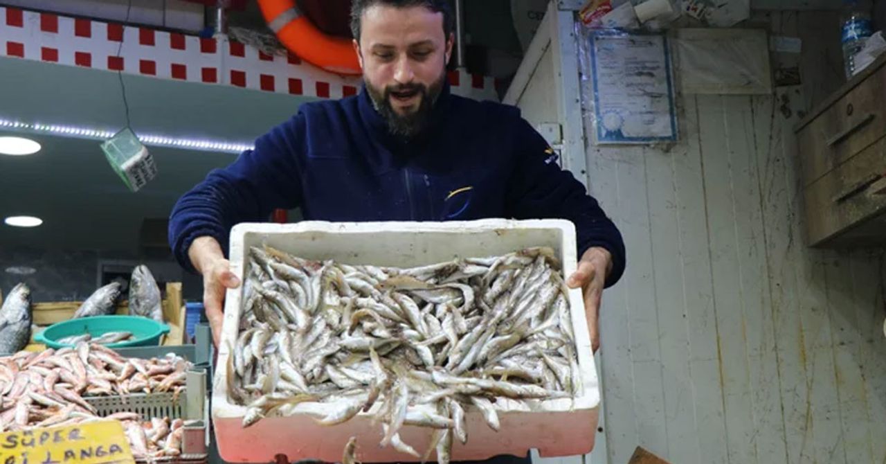 balık fiyatları