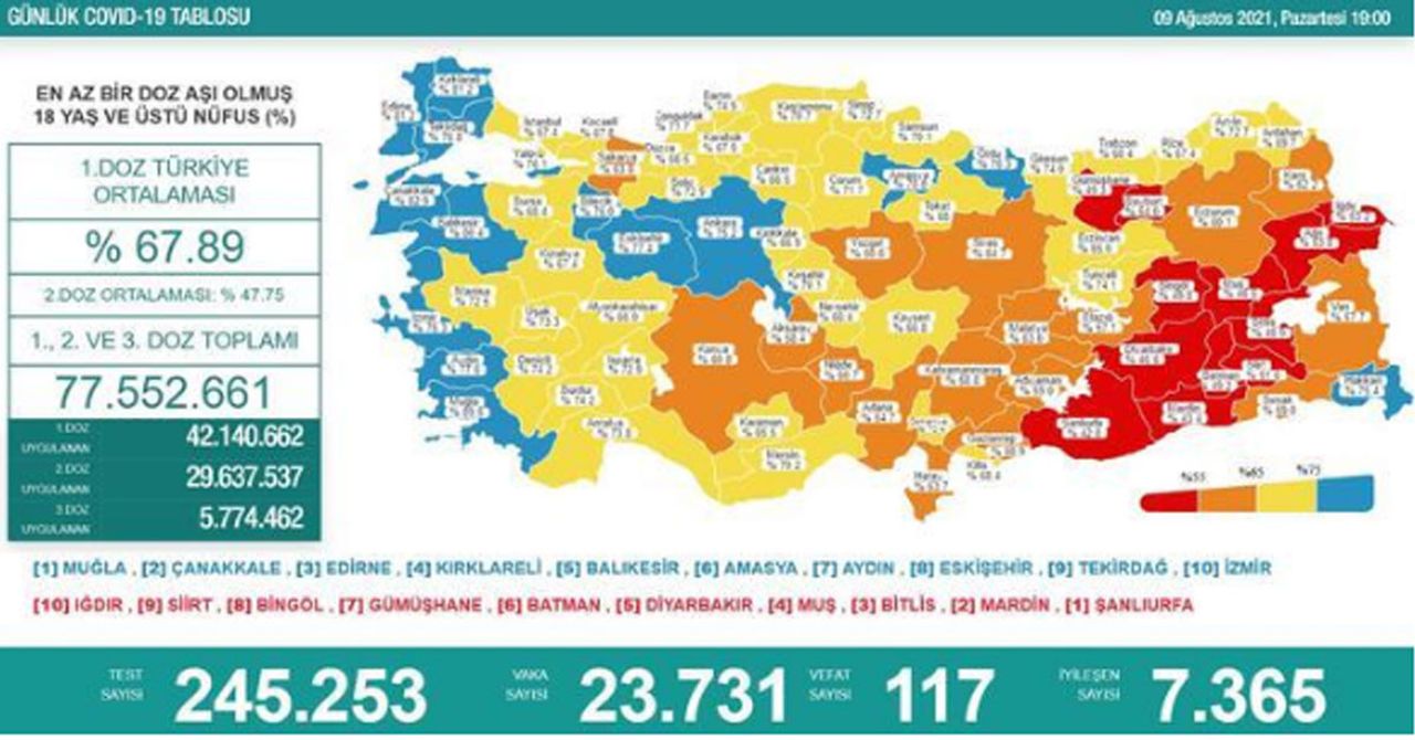 KORONAVİRÜS TABLOSU KORONAVİRÜS TABLOSU