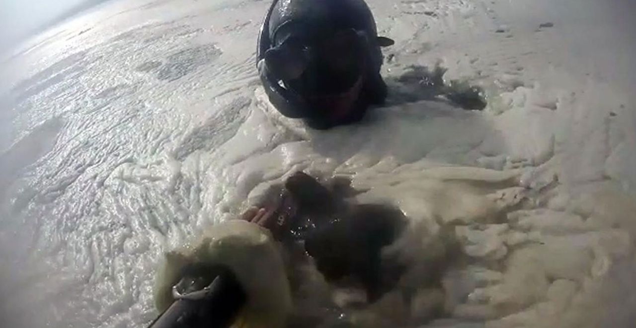 Bakanlıktan Açıklama Geldi! Müsilajın Balık ve Midyeye Etkisi Var mı?5436 Bakanlıktan Açıklama Geldi! Müsilajın Balık ve Midyeye Etkisi Var mı?5436