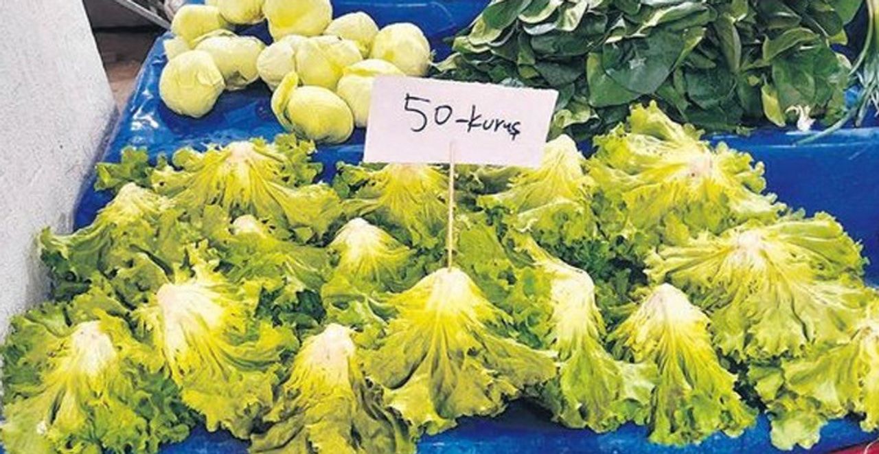 Serada 20 Kuruştan Satılan Marul Markette 6 TL!6543546 Serada 20 Kuruştan Satılan Marul Markette 6 TL!6543546