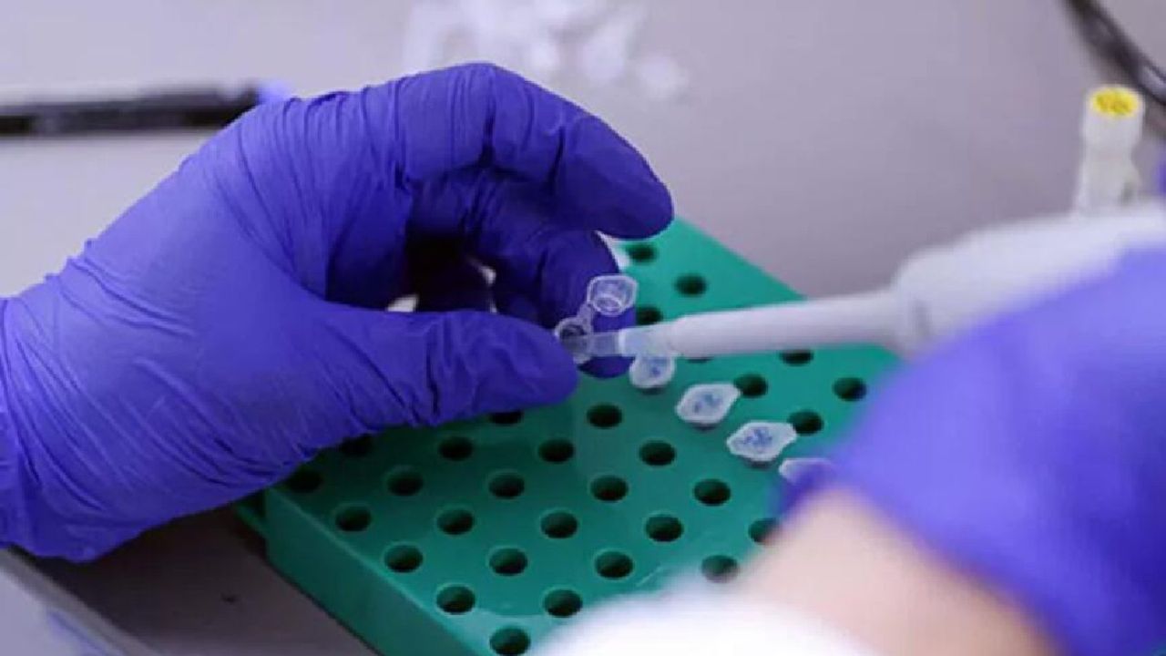 Seyahatlerde PCR testi kaldırıldı mı Seyahatlerde PCR testi kaldırıldı mı