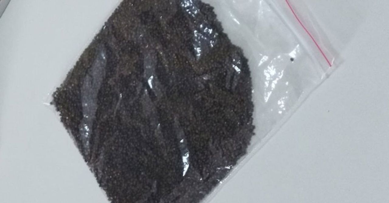 Safra Taşı Safra Taşı