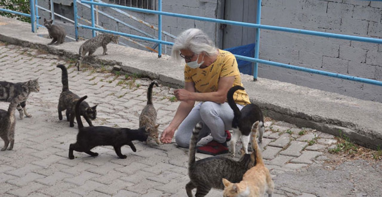 Gümüşhane Gümüşhane