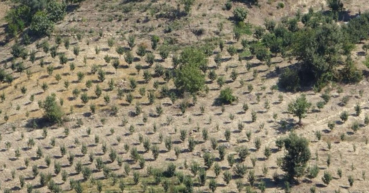 Adana Adana