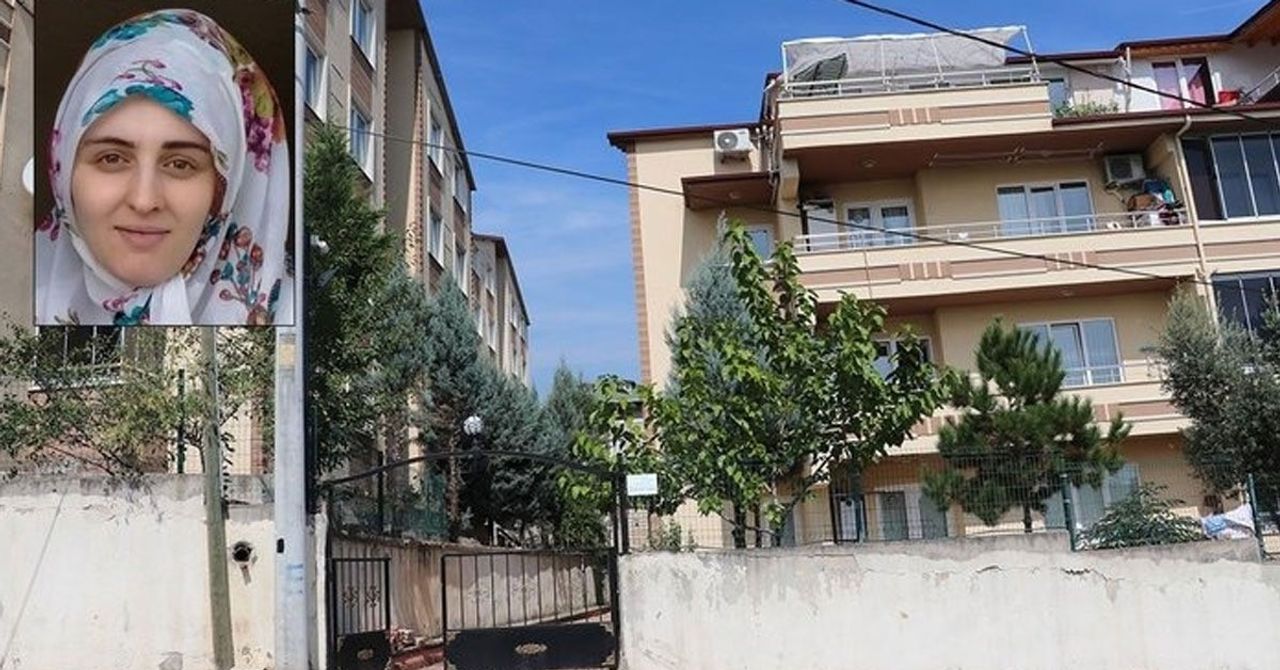 Cani Koca Cani Koca