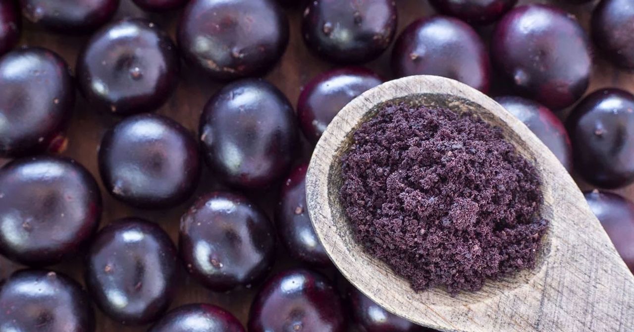 acai üzümü faydaları acai üzümü faydaları