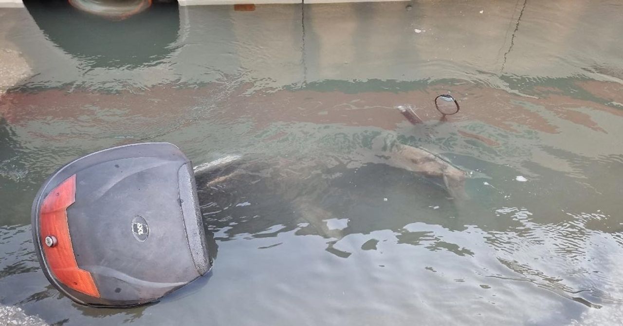 Adana İçme Suyu Borusu Patladı Adana İçme Suyu Borusu Patladı