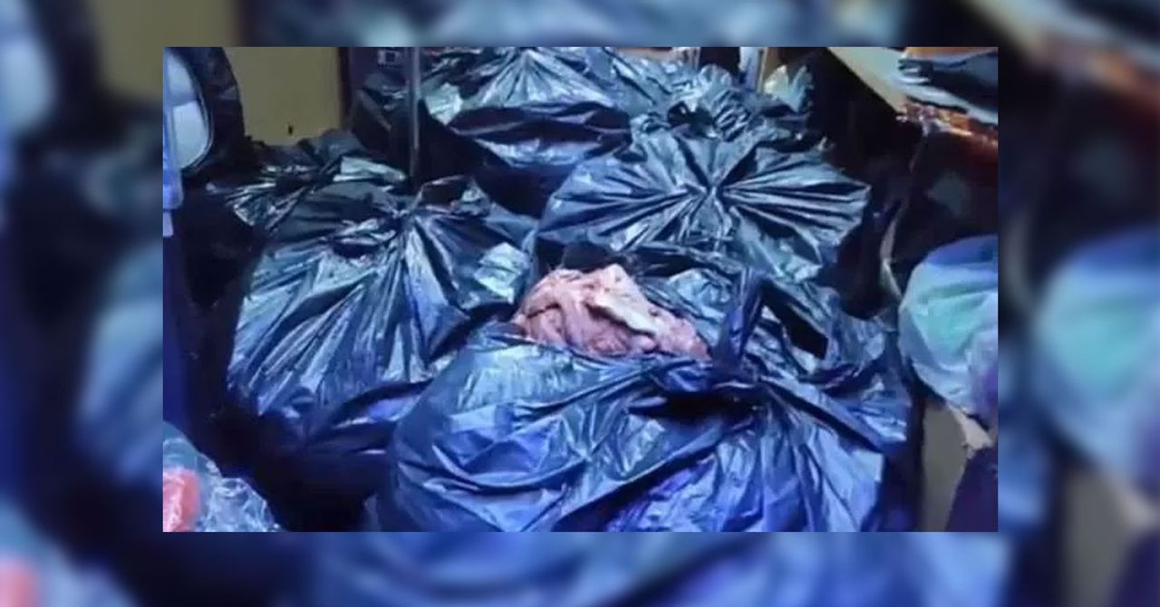 Adana’da kesimi yapılan 700 kilogram at ve eşek eti, Sakarya’nın Hendek ilçesinde yakalandığı öğrenildi. Adana’da kesimi yapılan 700 kilogram at ve eşek eti, Sakarya’nın Hendek ilçesinde yakalandığı öğrenildi.