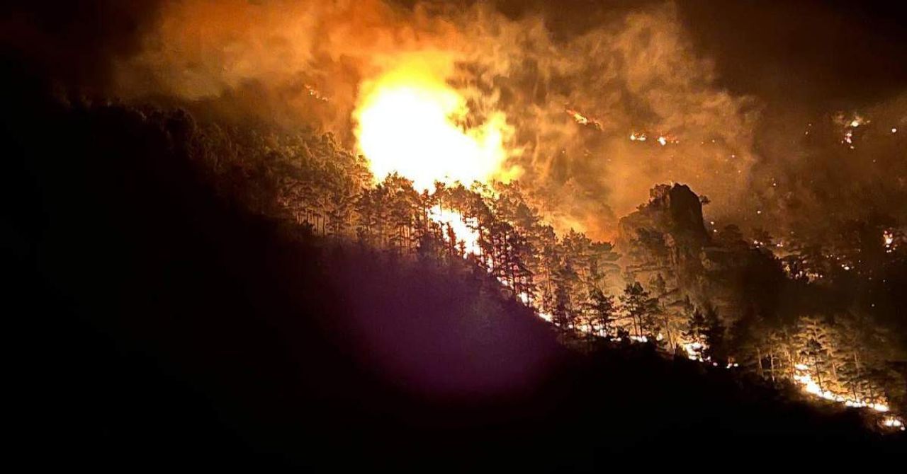 Alanya Yangın Son Dakika Alanya Yangın Son Dakika
