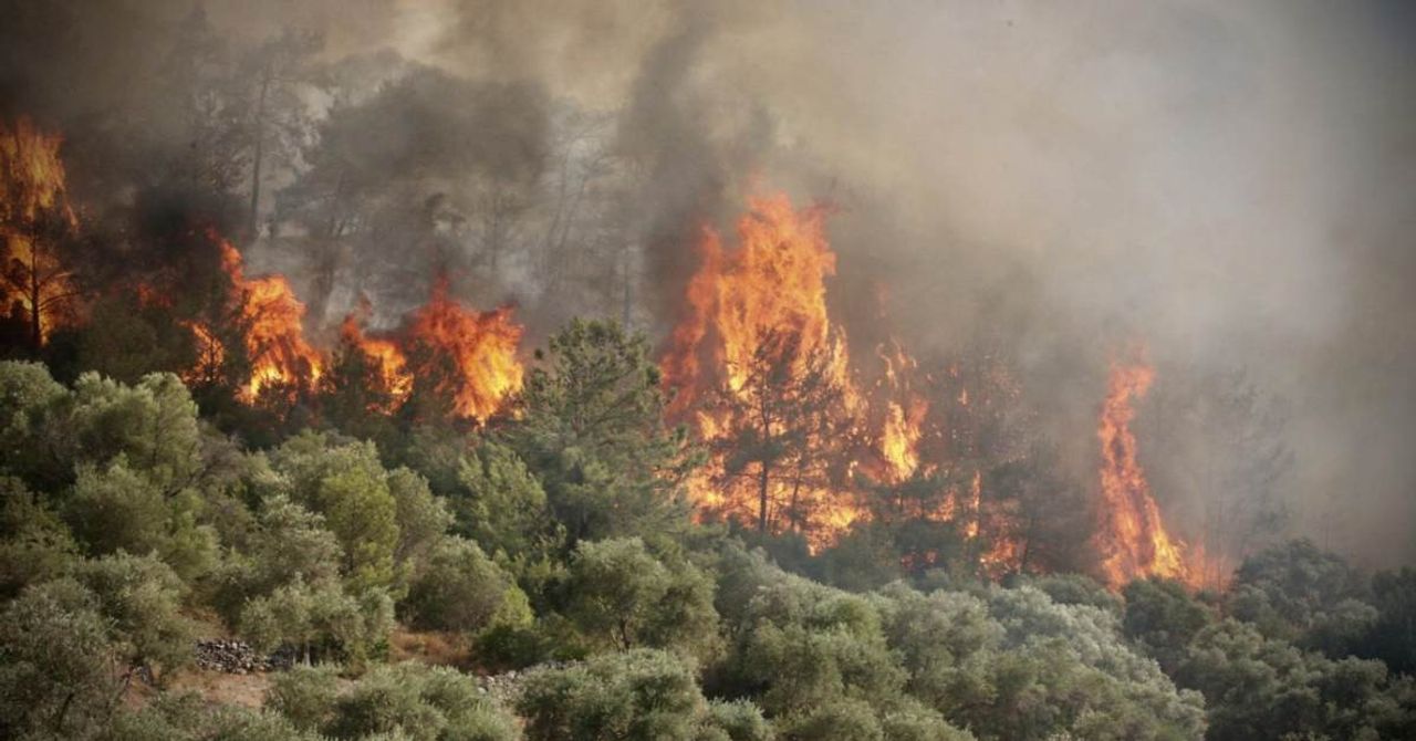 Antalya Orman Yangını Antalya Orman Yangını