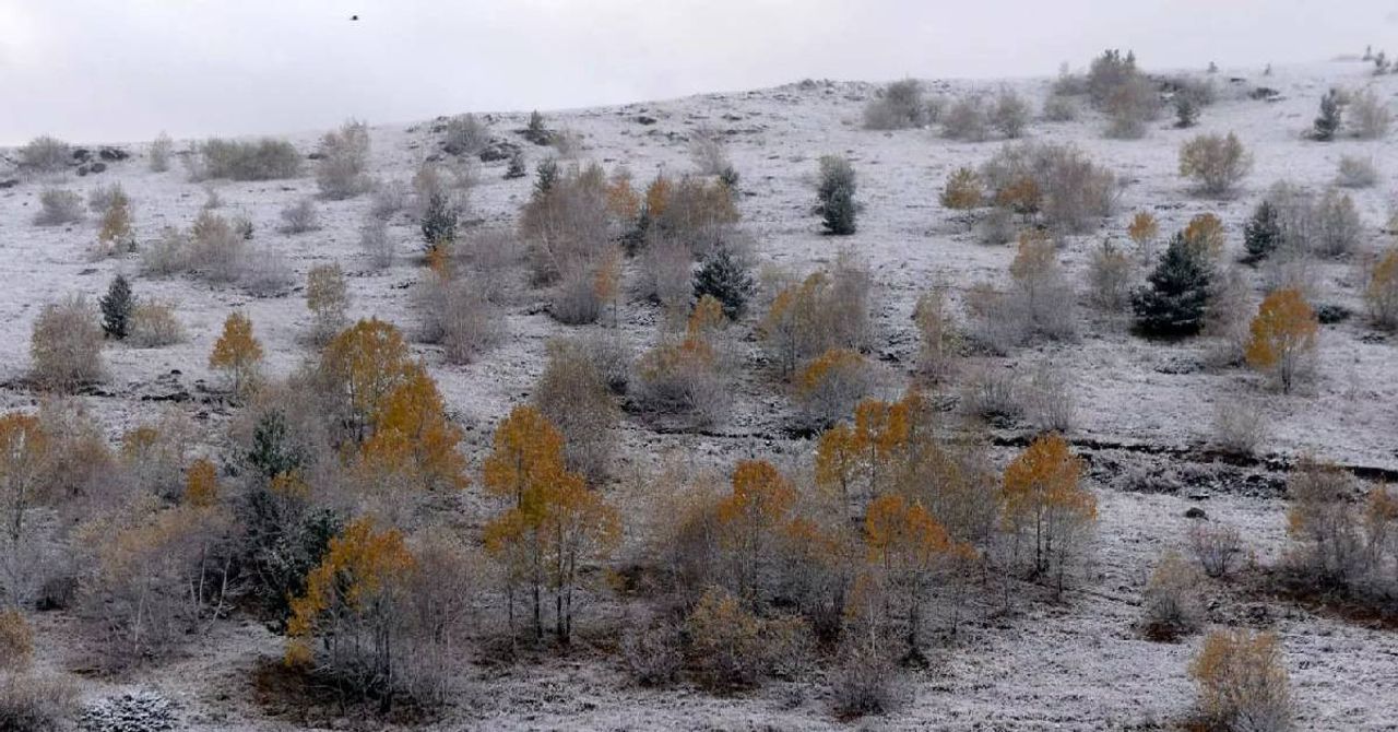 Ardahan Kar Yağışı Ardahan Kar Yağışı