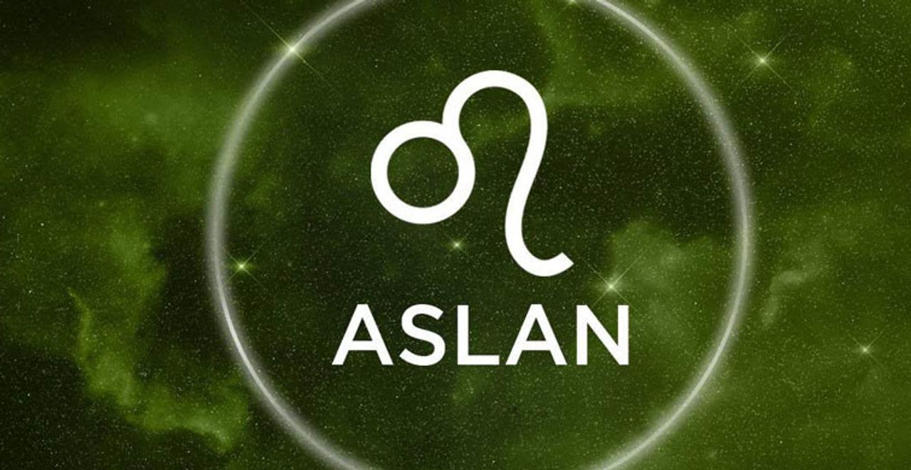 aslan burcu yorumu aslan burcu yorumu