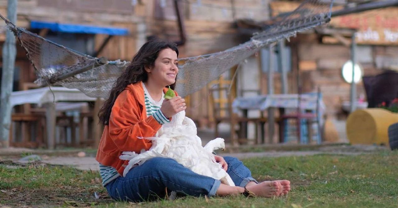 Ateş Kuşları Dizisi-1 Ateş Kuşları Dizisi-1