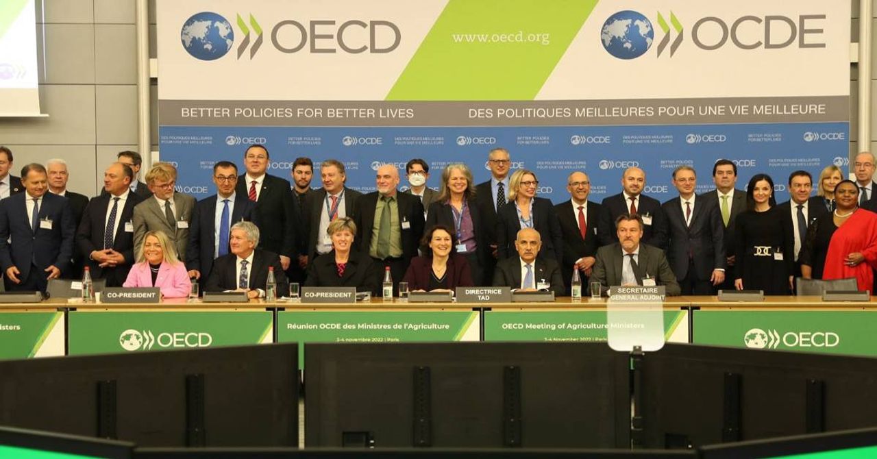 Bakan Kirişçi OECD Açıklaması Bakan Kirişçi OECD Açıklaması