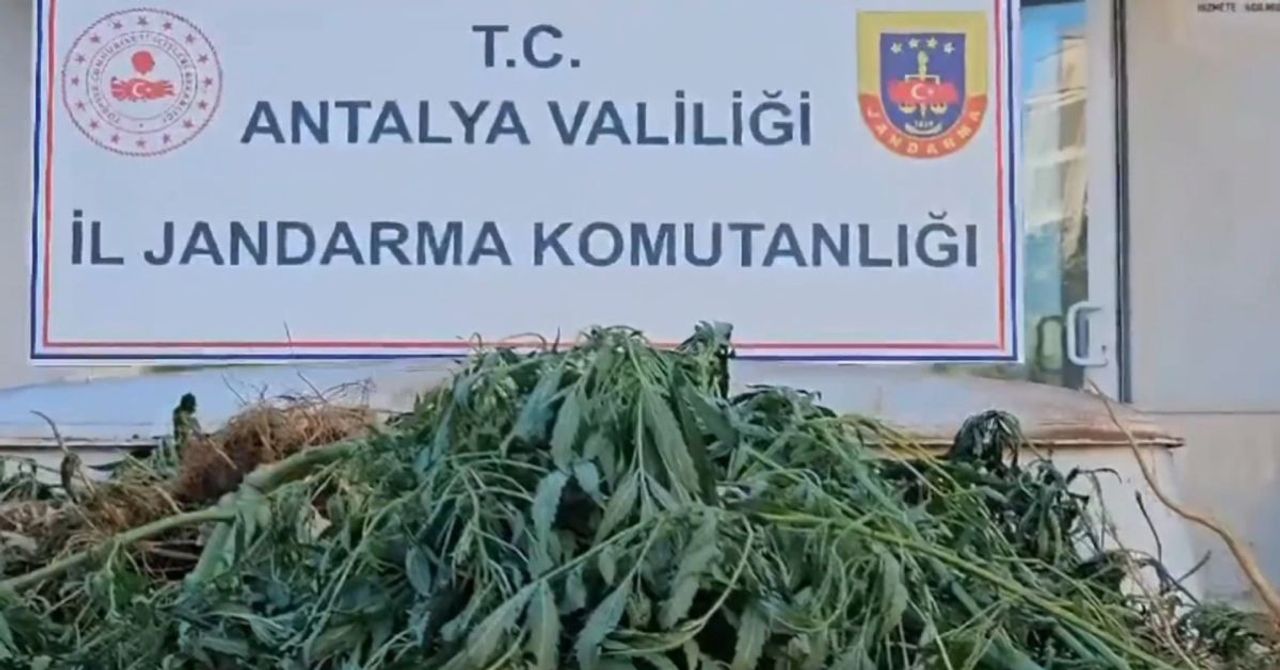 Bakan Yerlikaya duyurdu: 13 ilde uyuşturucu operasyonu! 83 şüpheli yakalandı Bakan Yerlikaya duyurdu: 13 ilde uyuşturucu operasyonu! 83 şüpheli yakalandı