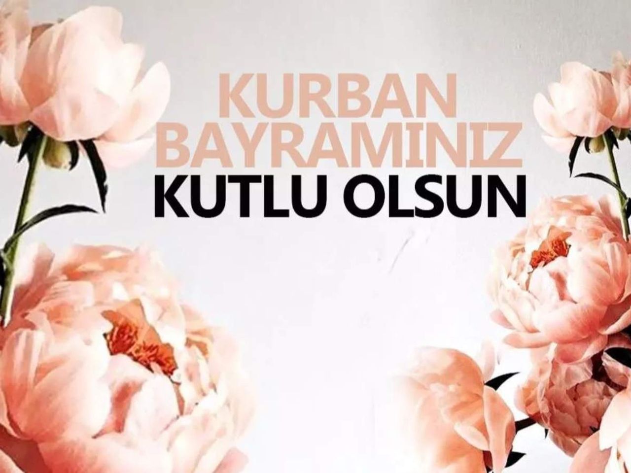 bayram mesajı bayram mesajı
