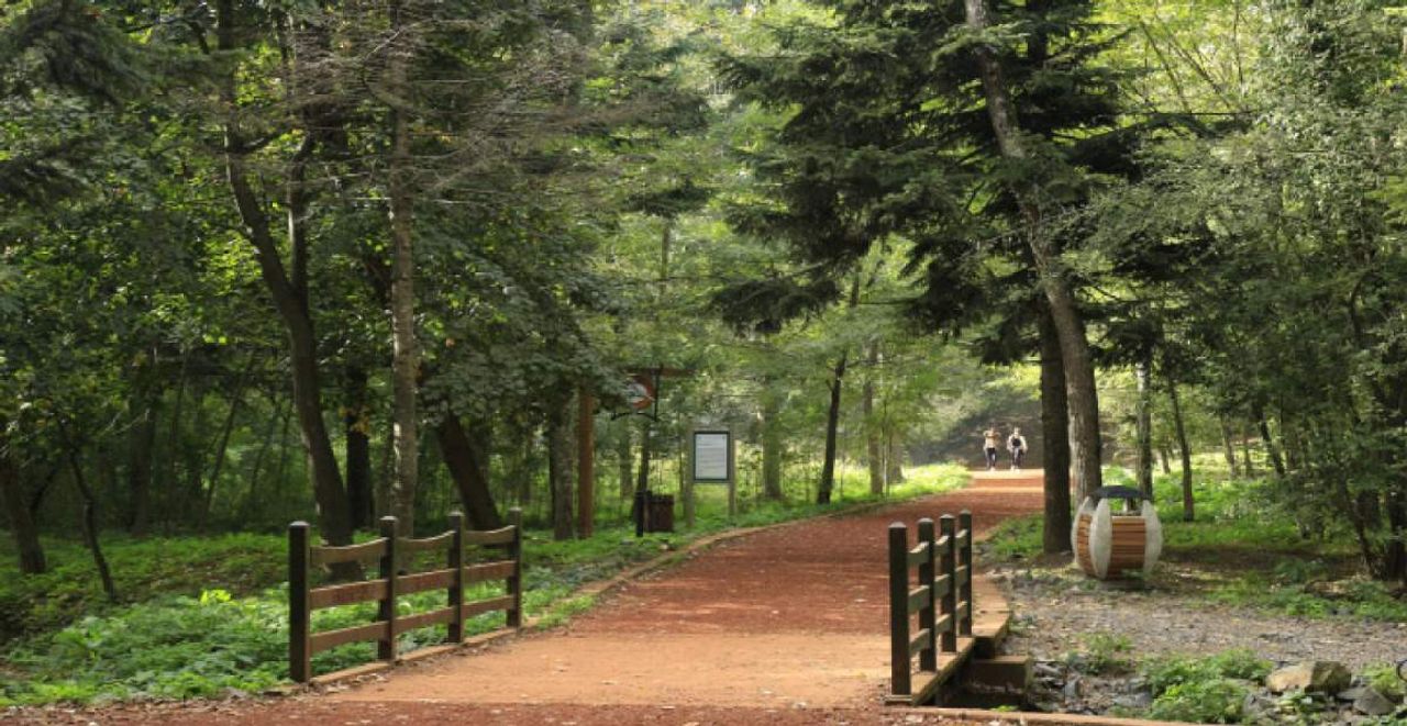 belgrad ormanı belgrad ormanı