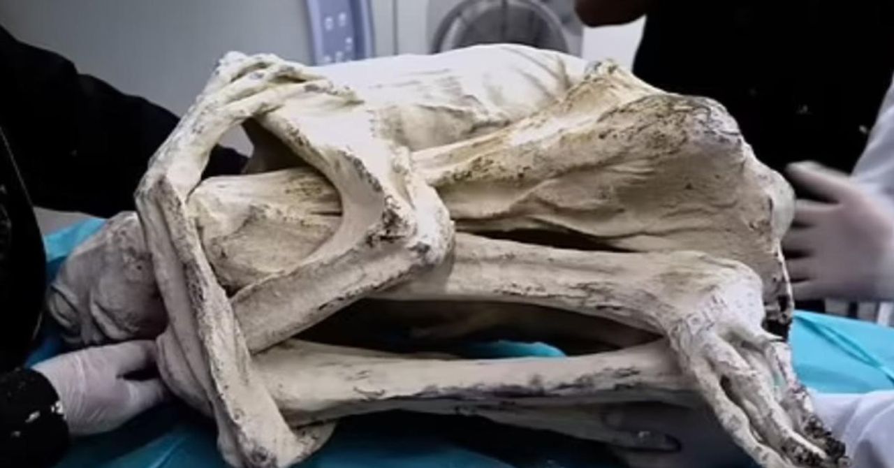 Bilim dünyası ikiye bölündü: Peru’da uzaylı mumyası mı bulundu? Bilim dünyası ikiye bölündü: Peru’da uzaylı mumyası mı bulundu?