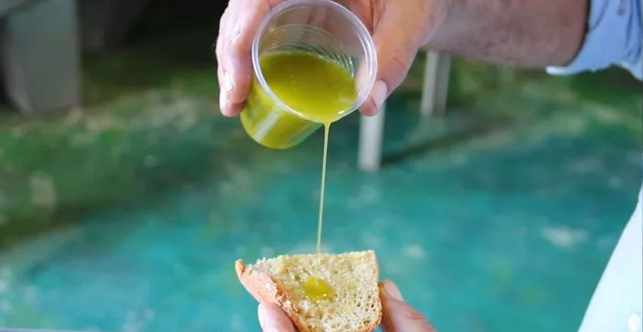 Böbrekler içinde iyi Böbrekler için birebir