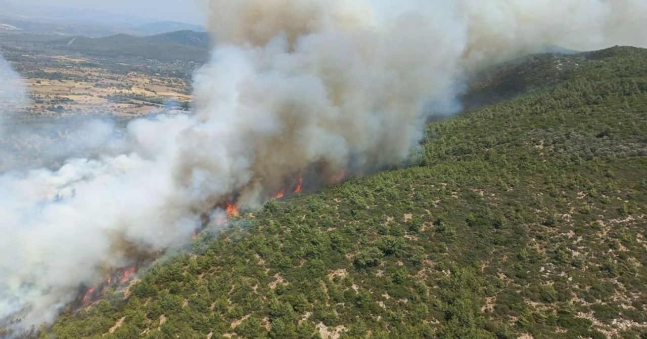 Bodrum’da orman yangını paniği: Ekipler yayılan alevlere müdahale ediyor Bodrum’da orman yangını paniği: Ekipler yayılan alevlere müdahale ediyor