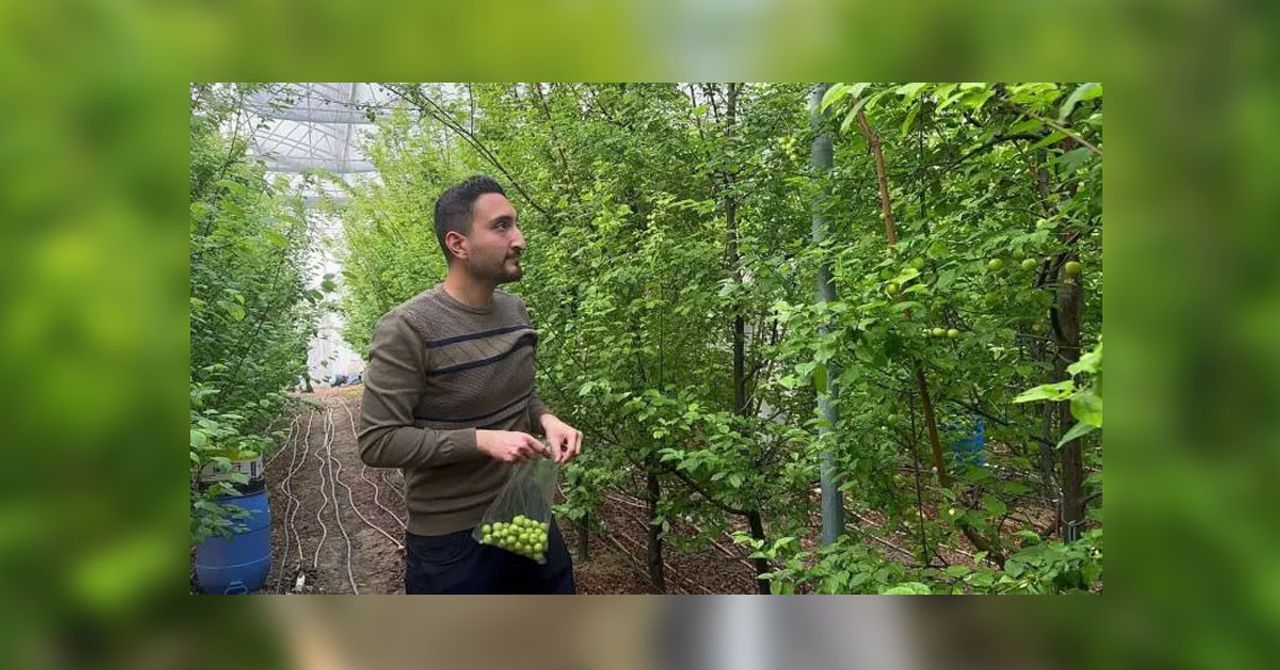 bu sene eriğin kilosu ne kadar bu sene eriğin kilosu ne kadar
