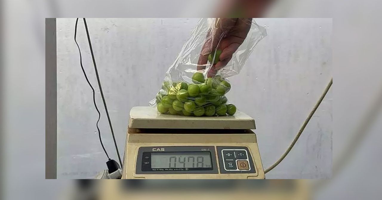 bu sene eriğin kilosu ne kadar bu sene eriğin kilosu ne kadar