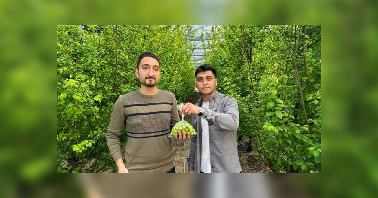 bu sene eriğin kilosu ne kadar bu sene eriğin kilosu ne kadar