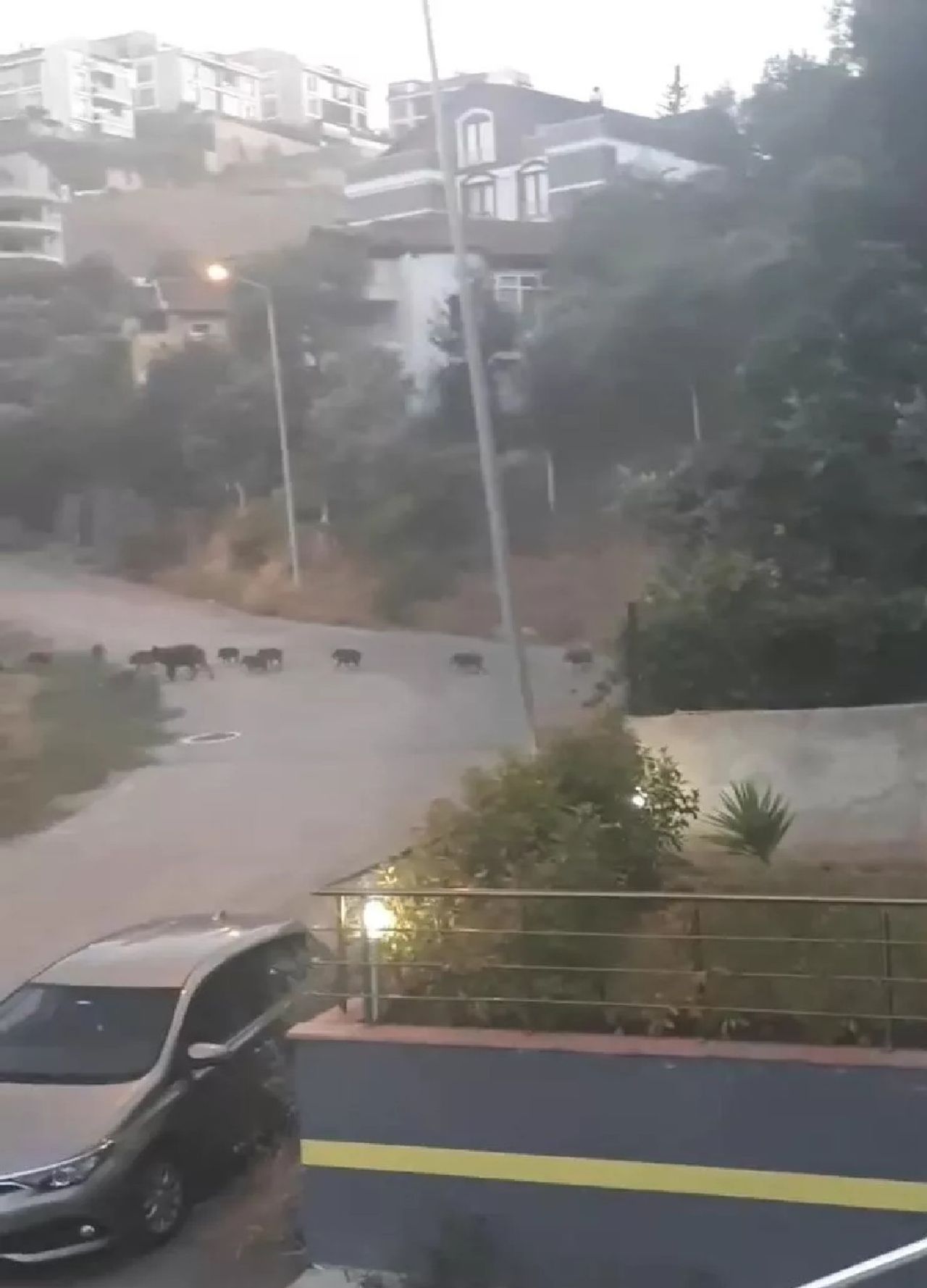 Bursa Bursa